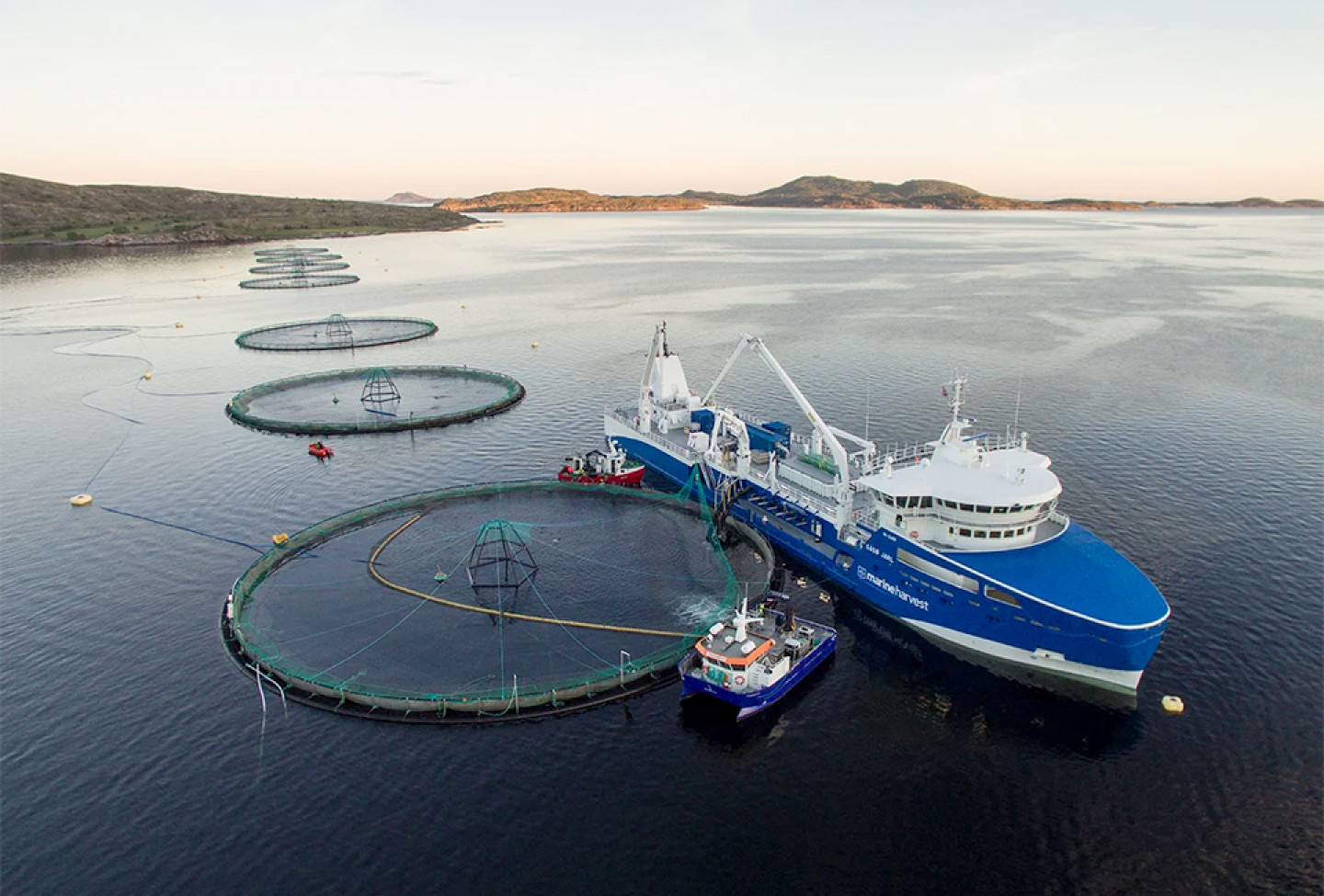 news-card-01.jpg news-card-01.jpg